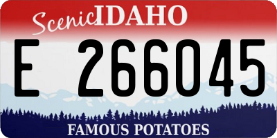 ID license plate E266045