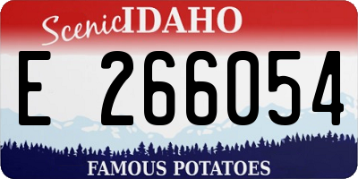 ID license plate E266054