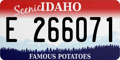 ID license plate E266071