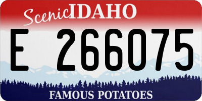 ID license plate E266075