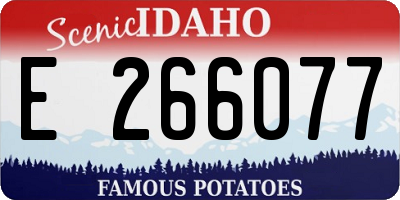 ID license plate E266077