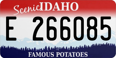 ID license plate E266085