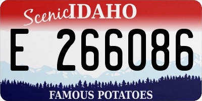 ID license plate E266086