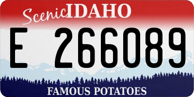 ID license plate E266089