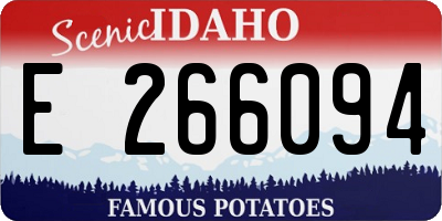 ID license plate E266094