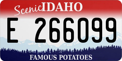 ID license plate E266099