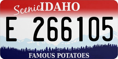 ID license plate E266105