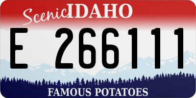 ID license plate E266111