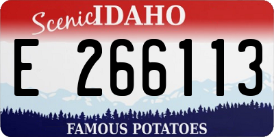 ID license plate E266113