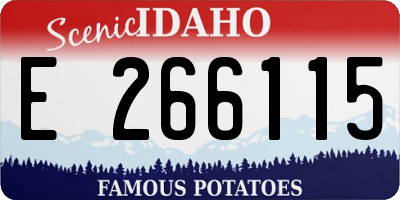 ID license plate E266115