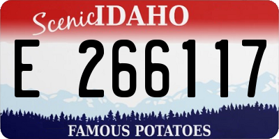 ID license plate E266117