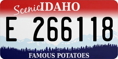 ID license plate E266118