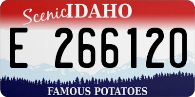 ID license plate E266120