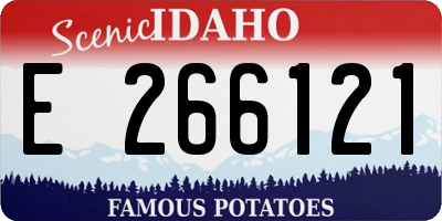 ID license plate E266121
