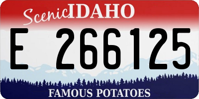 ID license plate E266125