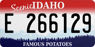 ID license plate E266129