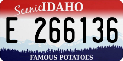 ID license plate E266136
