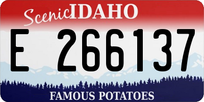 ID license plate E266137