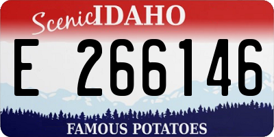 ID license plate E266146
