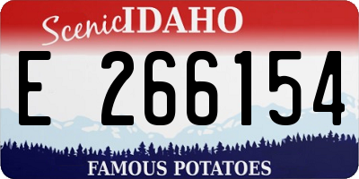ID license plate E266154