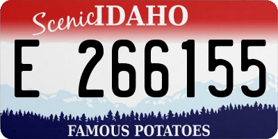 ID license plate E266155