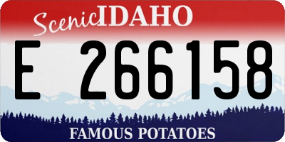 ID license plate E266158