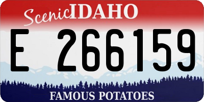 ID license plate E266159