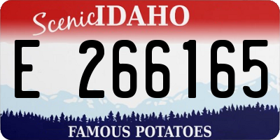 ID license plate E266165