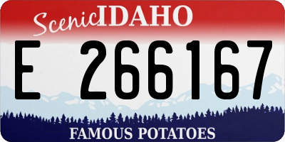 ID license plate E266167