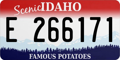 ID license plate E266171