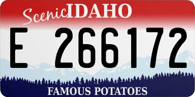 ID license plate E266172