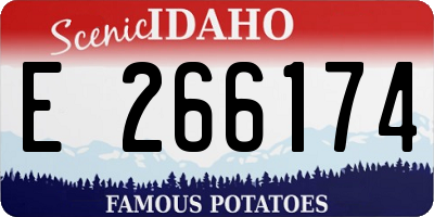 ID license plate E266174