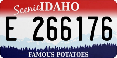 ID license plate E266176