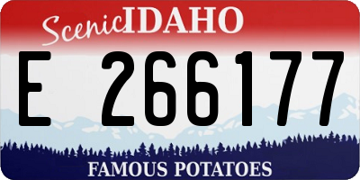 ID license plate E266177