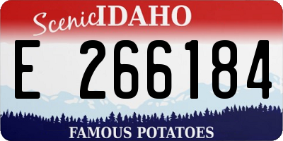 ID license plate E266184