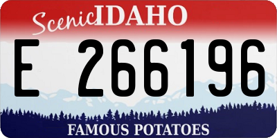 ID license plate E266196