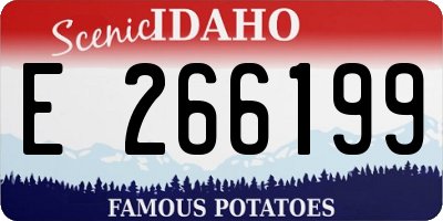 ID license plate E266199