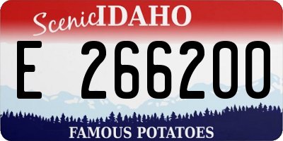 ID license plate E266200