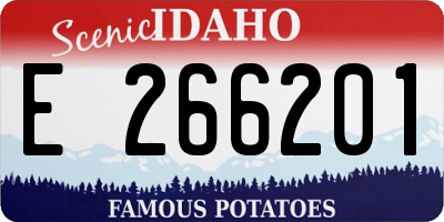 ID license plate E266201