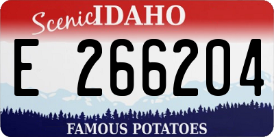 ID license plate E266204