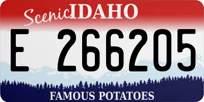 ID license plate E266205