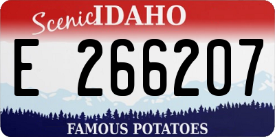 ID license plate E266207