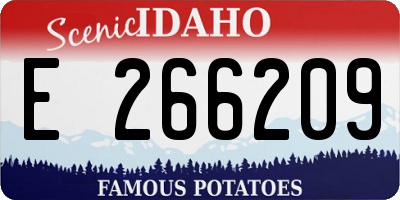 ID license plate E266209