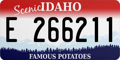 ID license plate E266211