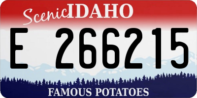 ID license plate E266215