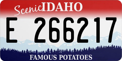 ID license plate E266217