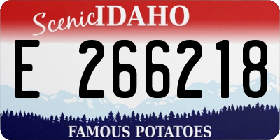 ID license plate E266218