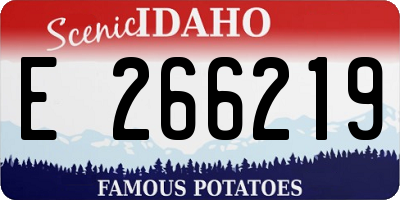ID license plate E266219