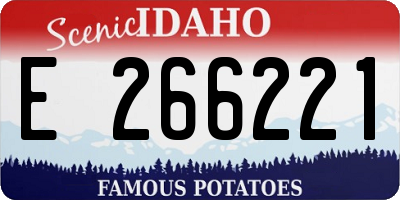 ID license plate E266221