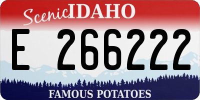 ID license plate E266222